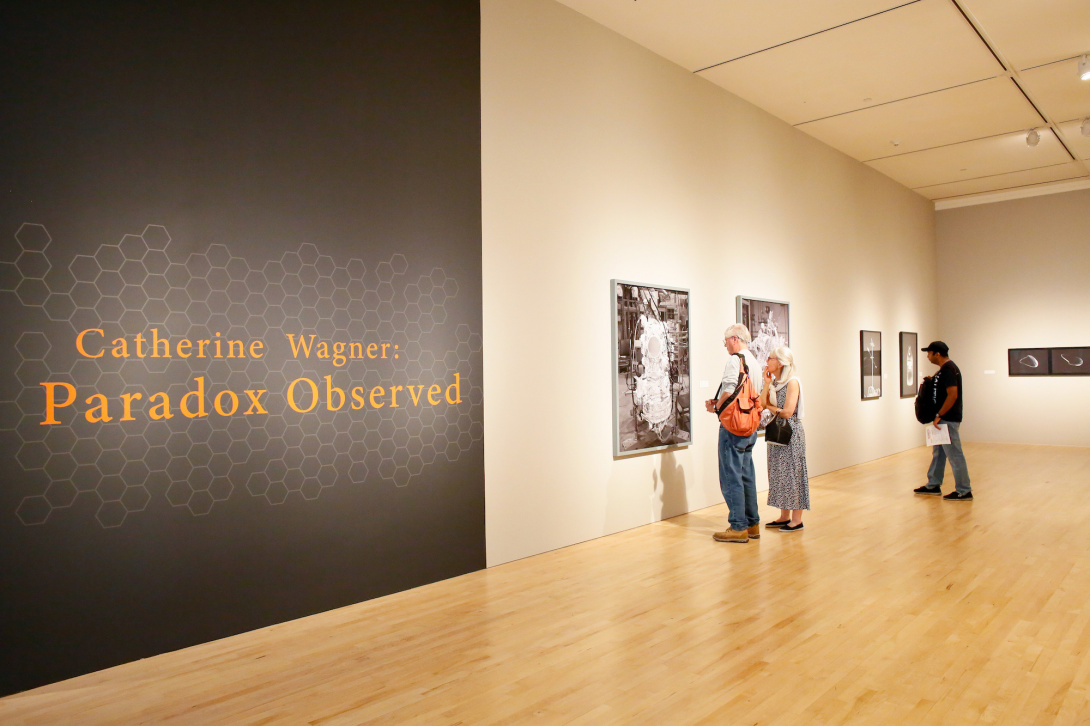 Catherine Wagner: Paradox Observed Catherine Wagner