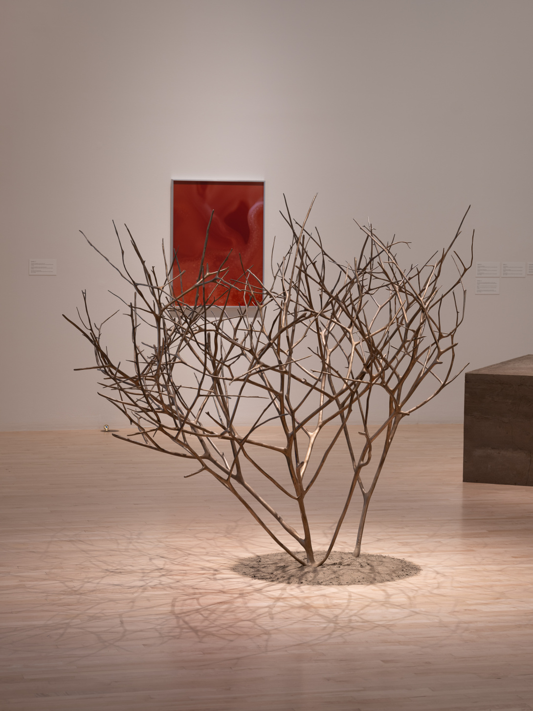 A large tree-like sculpture stands tall, seemingly growing from the ground. It is surrounded by light and in the background is a red painting.