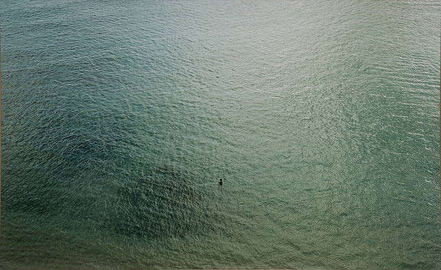 A photograph of the sea, green with the light reflecting on it. There is a tiny speck of a duck in the middle of the water.