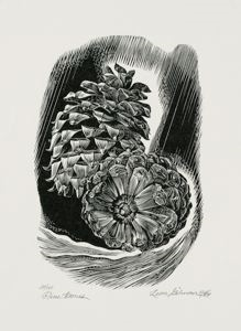 Image of Pine Cones