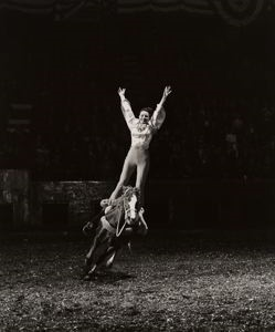 Image of Action at the Rodeo from the portfolio "Seeing the Unseen"