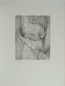 Image of #3, from the series Elephant Head