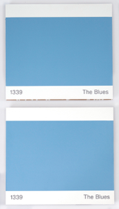 Image of 1339 The Blues