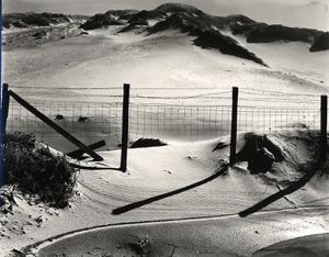 Image of Dune, Fence, California