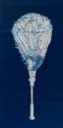 Image of The Feather Duster