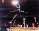 Image of Moscow Circus