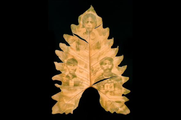 Art in the Dark | San José Museum of Art