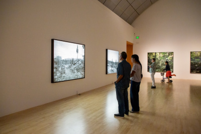 visitors gazing at illuminated landscape photographs mounted on light boxes