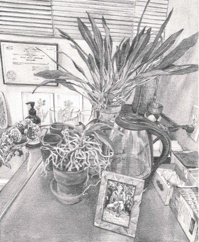 Domestic setting next to a sink: framed photograph of Ed, an orchid (kept alive by his partner, Daniel Ostrow), a hot water kettle, and glassware.