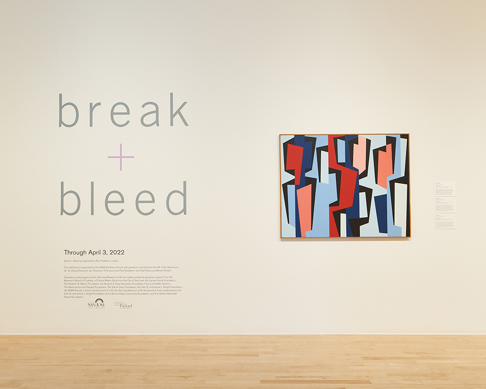 Installation photo of “Break + Bleed.”