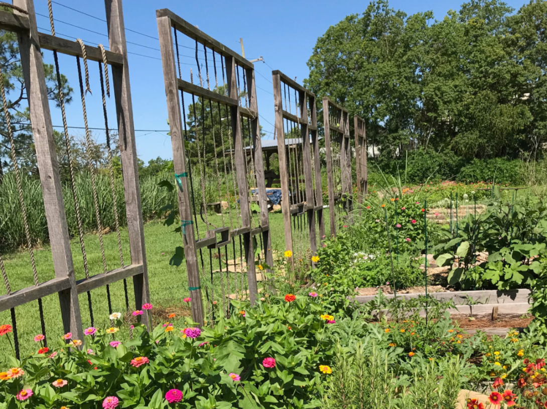 A lush garden with wooden fences that evokes window sills.