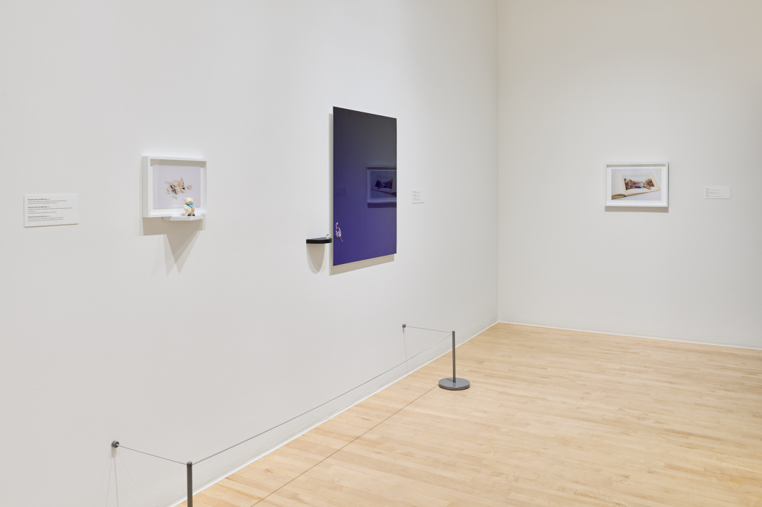 a gallery installation with a framed photographs and figurines