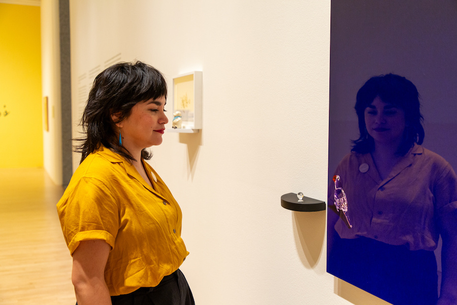 a woman gazing upon a glass kiwi bird with her image reflected on a blue photograph with a glass parrot