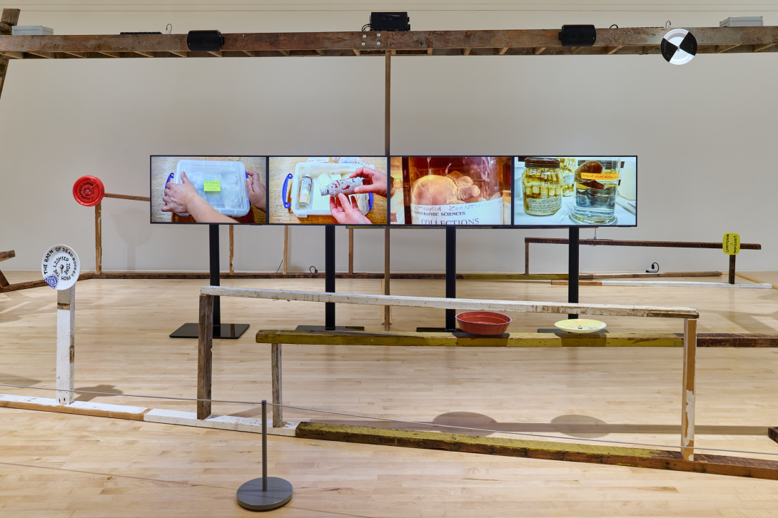 Beta Space: Patty Chang and David Kelley | San José Museum