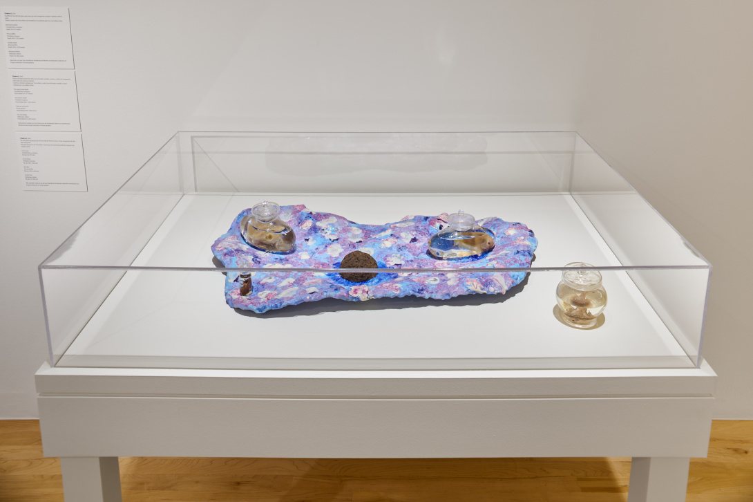 Beta Space: Patty Chang and David Kelley | San José Museum