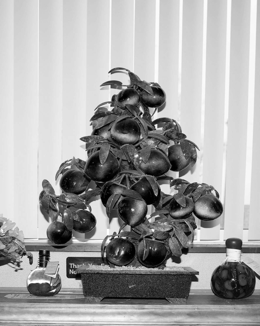 Black and white photograph of glass oranges in a rectangular pot. The branched sculpture is situated within an office setting.