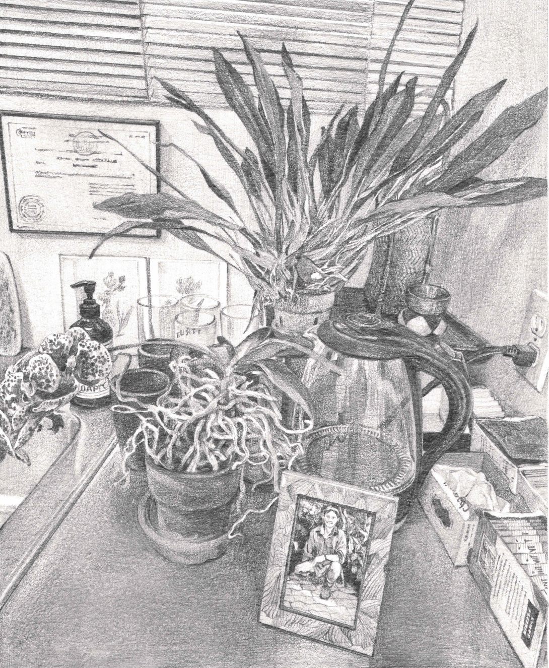 Domestic setting next to a sink: framed photograph of Ed, an orchid (kept alive by his partner, Daniel Ostrow), a hot water kettle, and glassware.