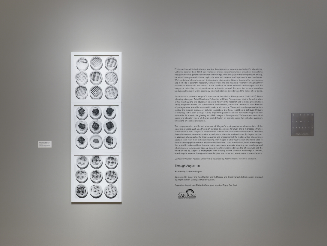 A white framed triptych hangs vertically on a light grey wall. The three framed prints exhibit black and white Petri dishes with varying specimens, creating a scientific grid design. Some dishes show an array of dots while others are a smear of black. Wall text appears to the right.