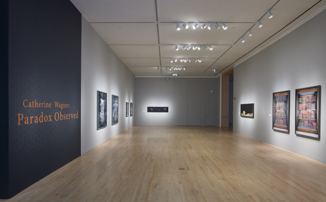 A gallery space with light grey walls and birch colored wood flooring houses 8 large-scale artworks. To the left, pumpkin orange wall text reads, "Catherine Wagner: Paradox Observed." On the right, two color photographs of molecular models hang side by side.