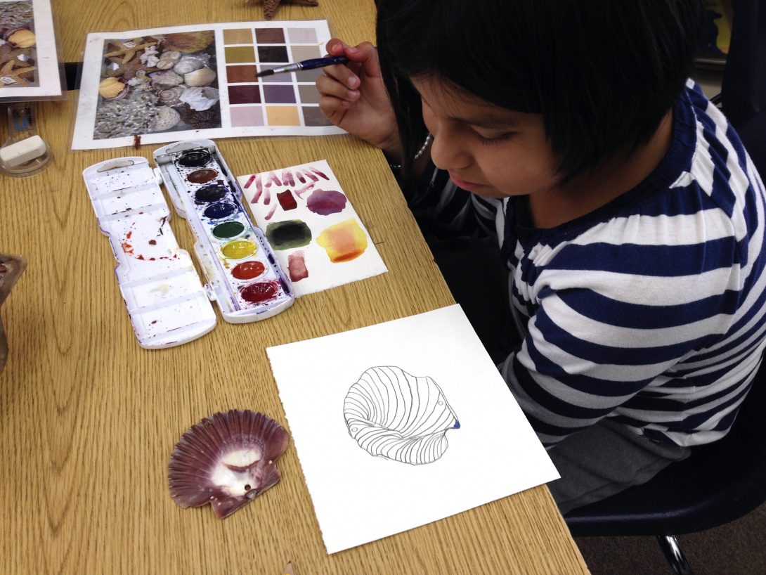 An aerial perspective of a young child seated at a wooden table. The child holds a paintbrush in their right hand and looks at a scallop seashell and a pencil drawing of the seashell on the table. A palette of watercolors lays open on the table. 