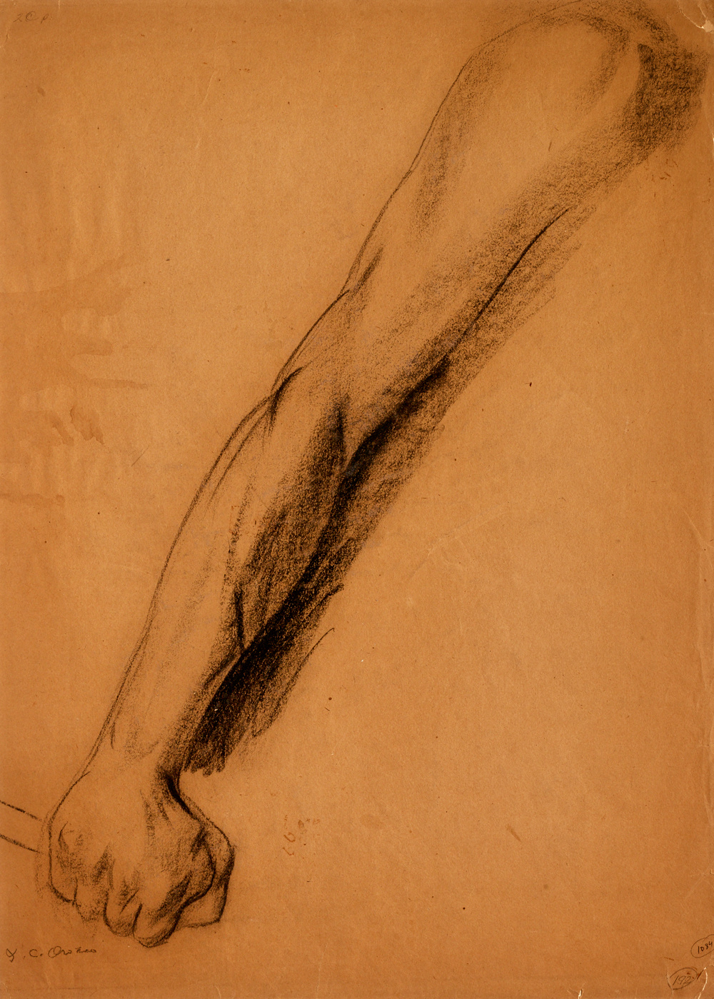 Study for right arm, ca. 1923