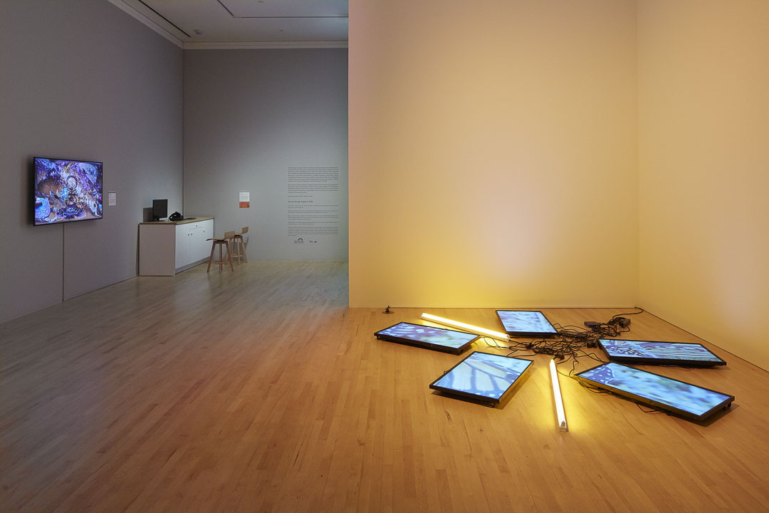 Five digital screens lay on a gallery's floor with 2 fluorescent lights. Electrical lines are tangled and lay next to them. A digital screen is installed on the back wall. In the corner is a table, chairs, a screen, and headphones with text is on the wall near them. 