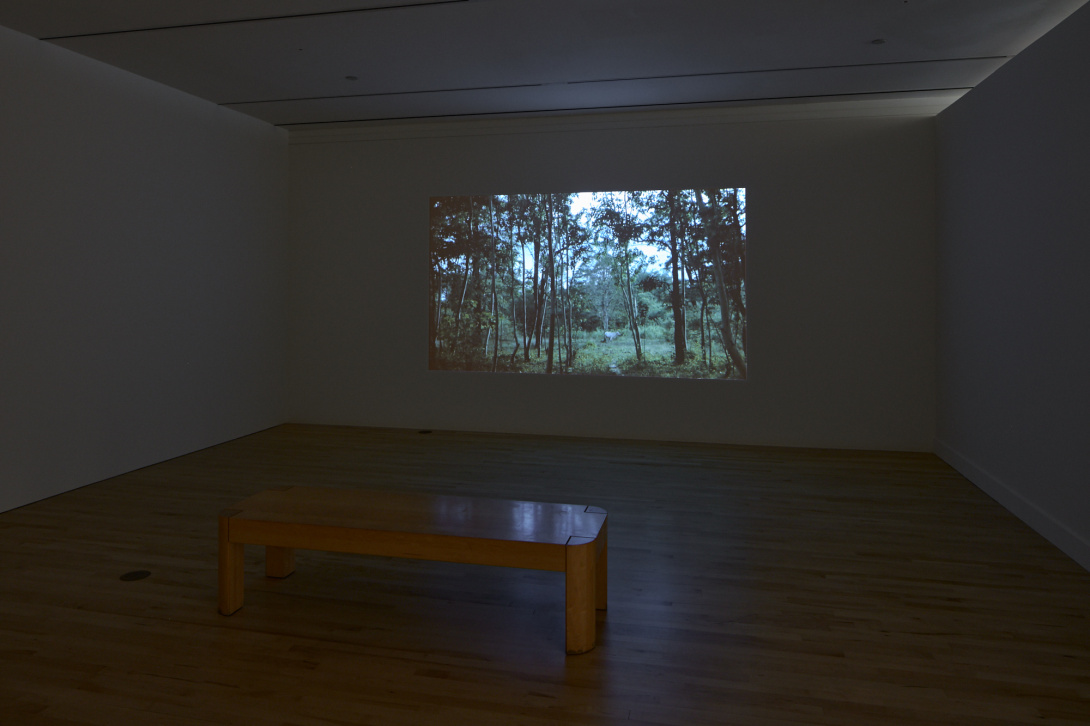 A dark lit room with a projection of a woodland area on the back wall. There is a wooden bench in front of this projection.   