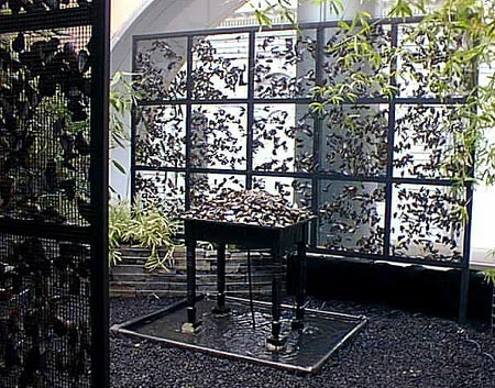 An outdoor space featuring two panels of vertical trellises with a planter box in the center which is placed over a puddle of water. There are green leaves in the foreground, and the rest of plants are in shadows.