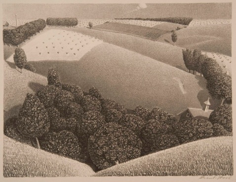 Top view of rolling hills with a lines of trees and a house peeking out from behind them.